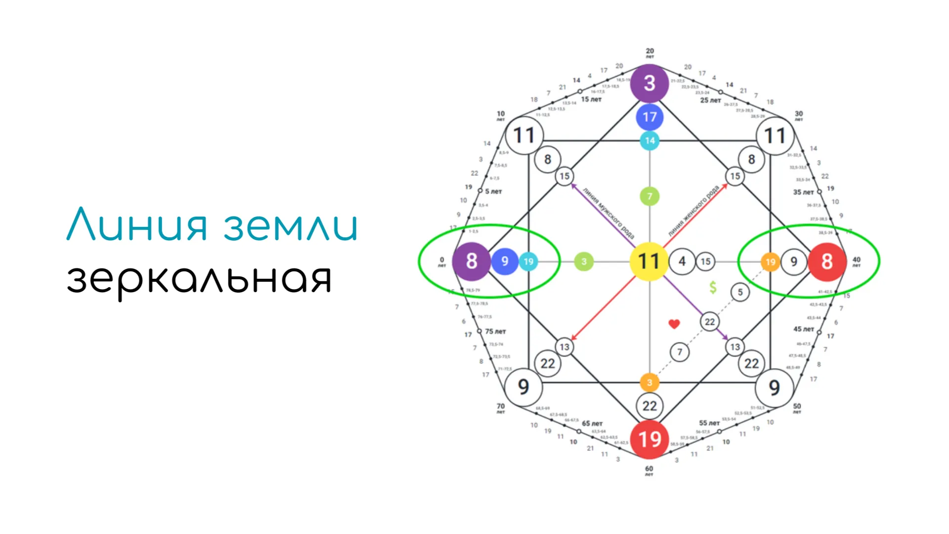 Линия земли зеркальна